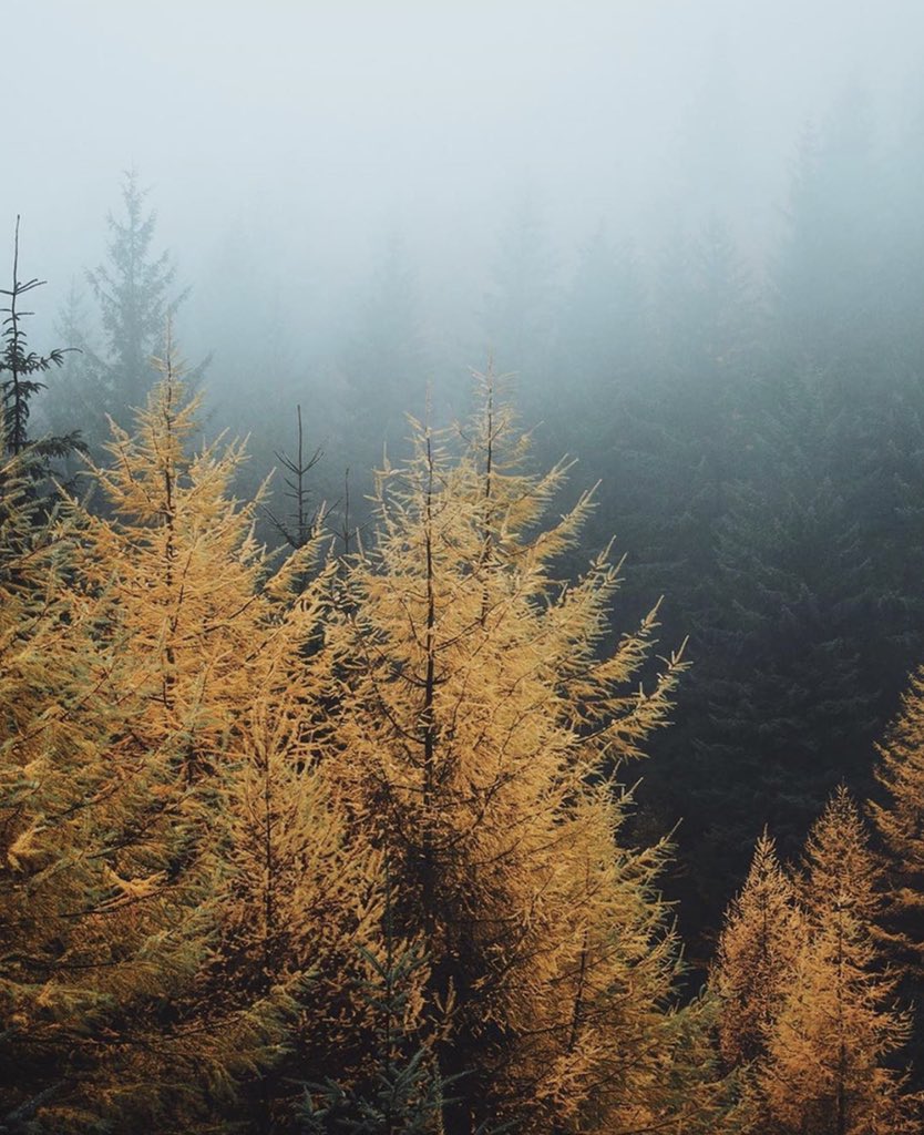 Misty autumn days are approaching