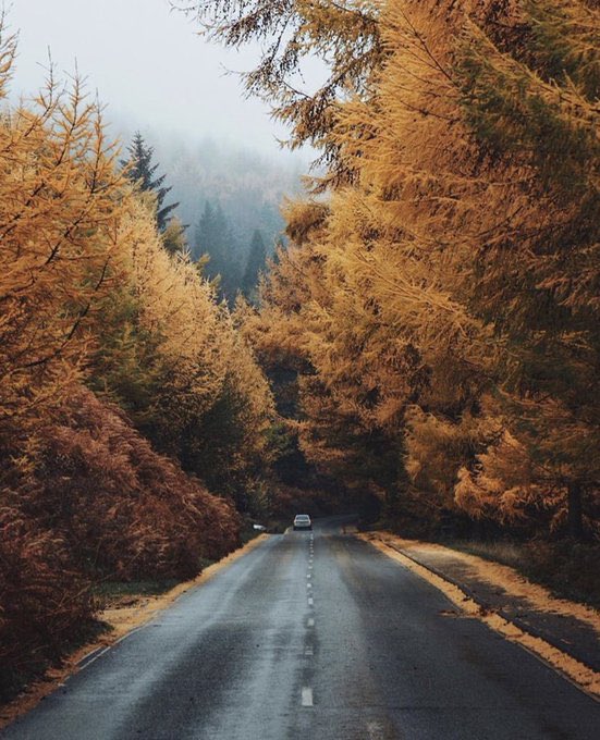 TraveIings's tweet photo. Misty autumn days are approaching https://t.co/HoRzDEi10j