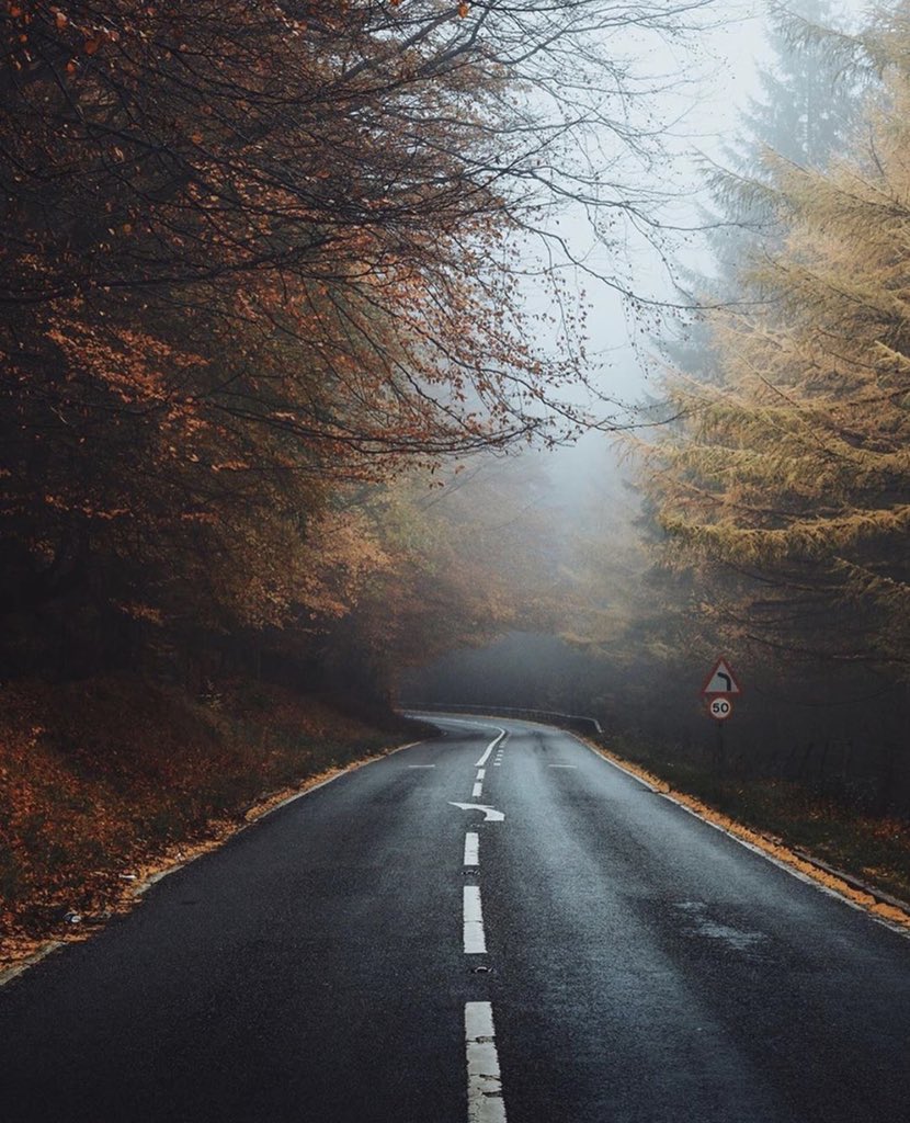 TraveIings's tweet photo. Misty autumn days are approaching https://t.co/HoRzDEi10j