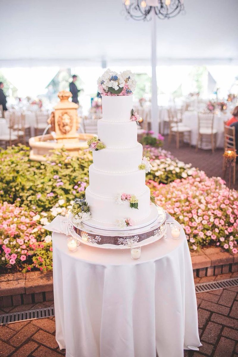 If you were looking for a sign to eat that delicious dessert you’ve been eyeing up, this is it! 🍰🍰🍰