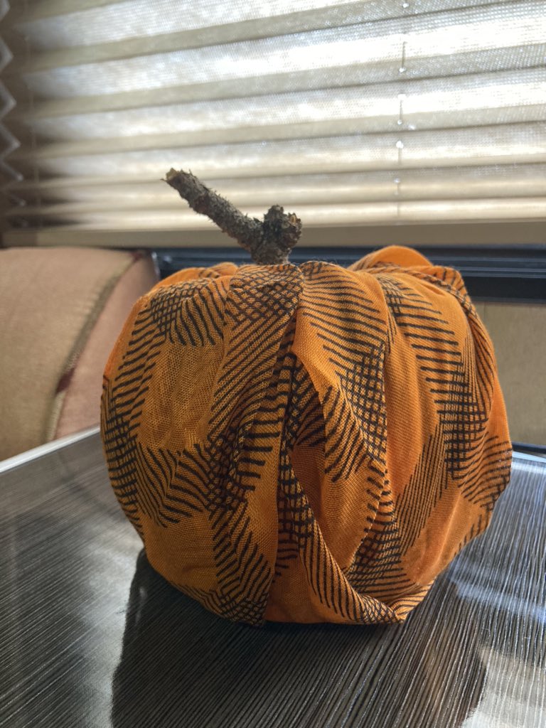 ForTheMor1's tweet photo. Living in an RV can stink because I don’t always get to have my holiday decorations. This year I decided to have my decorations with things around the house. Would you believe this is a scarf and a roll of toilet paper #fallDIY #RVlife https://t.co/Ras1VU6lE2