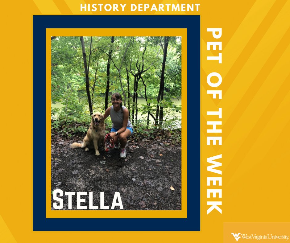 Happy Friday! We would like to introduce our new Pet of the Week: Stella. Stella is Dr. Staples' golden retriever, who loves going on walks in the woods and playing with her ball.