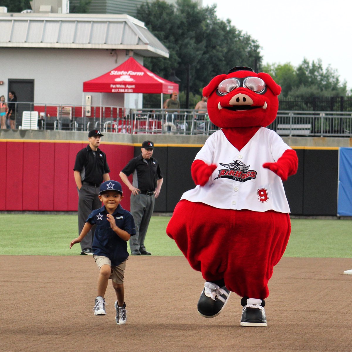 Texas AirHogs tweet media