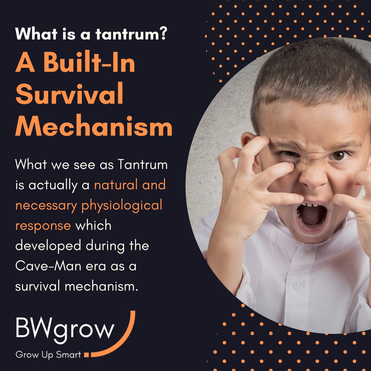 BW_grow's tweet photo. It’s part of the brain’s threat detection mechanism. The key concept is this anger and aggression exists to fight, and exists for violence because we need it. 
#family #children #childhood #parents  #parentingexpert #parenting #study #research #science #kids #behaviour https://t.co/4g7yrWr6Md