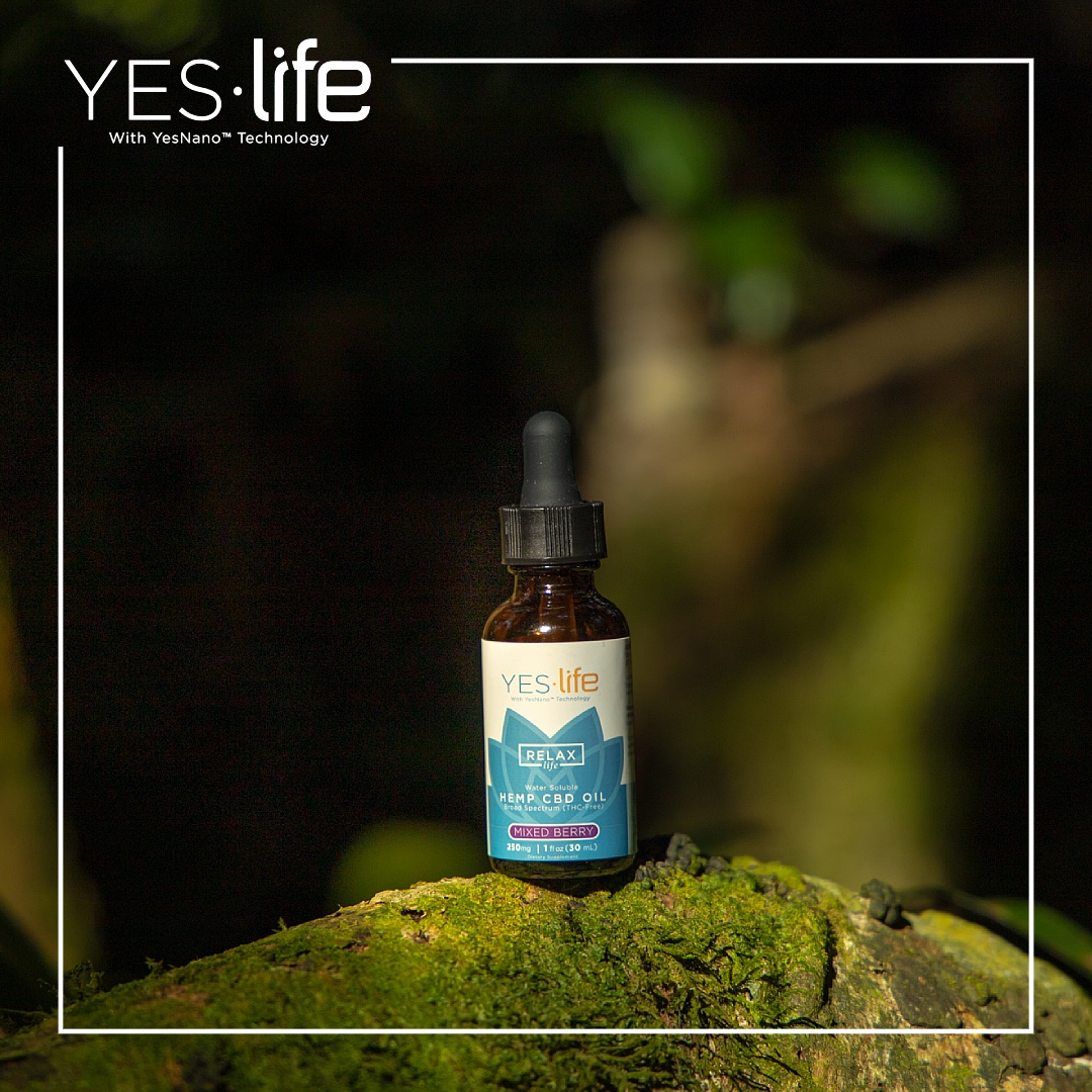 iamyeslife's tweet photo. Looking for CBD Oil that works quickly and naturally? https://t.co/QyaayIHSLc can provide it for you. 

Our Relax Life Broad Spectrum CBD contains absolutely NO THC and is perfect for any government jobs 
👉 👉 👉https://t.co/sMqI9bPet6  

#cbdoil #CBD #hempoil #CBDLife #health https://t.co/4eAafxFoeB