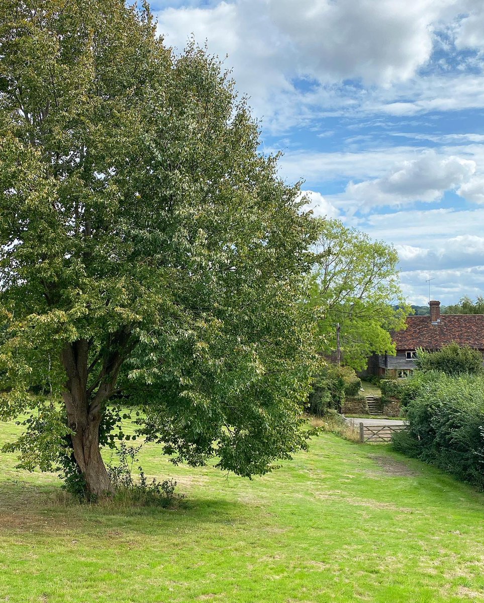 slicklive's tweet photo. We’ve moved! With the World adjusting to find its “new normal”, Slick have relocated to the countryside! With more creative space and an appetite for new projects, we are looking forward to serving our clients from our new rural home! #SlickProductions #EventProduction https://t.co/JuJGO9s95i