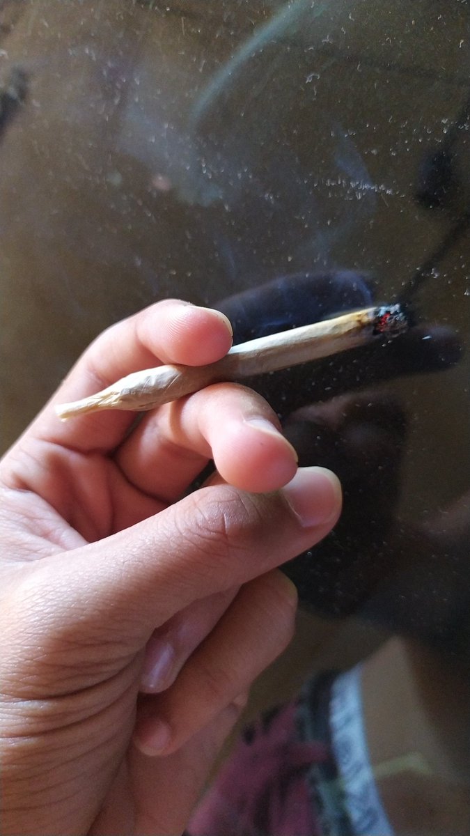 UndefinedYuri's tweet image. Me chamam de idiota porque fumo maconha mas chamam de gênio quem inventou a bomba atômica