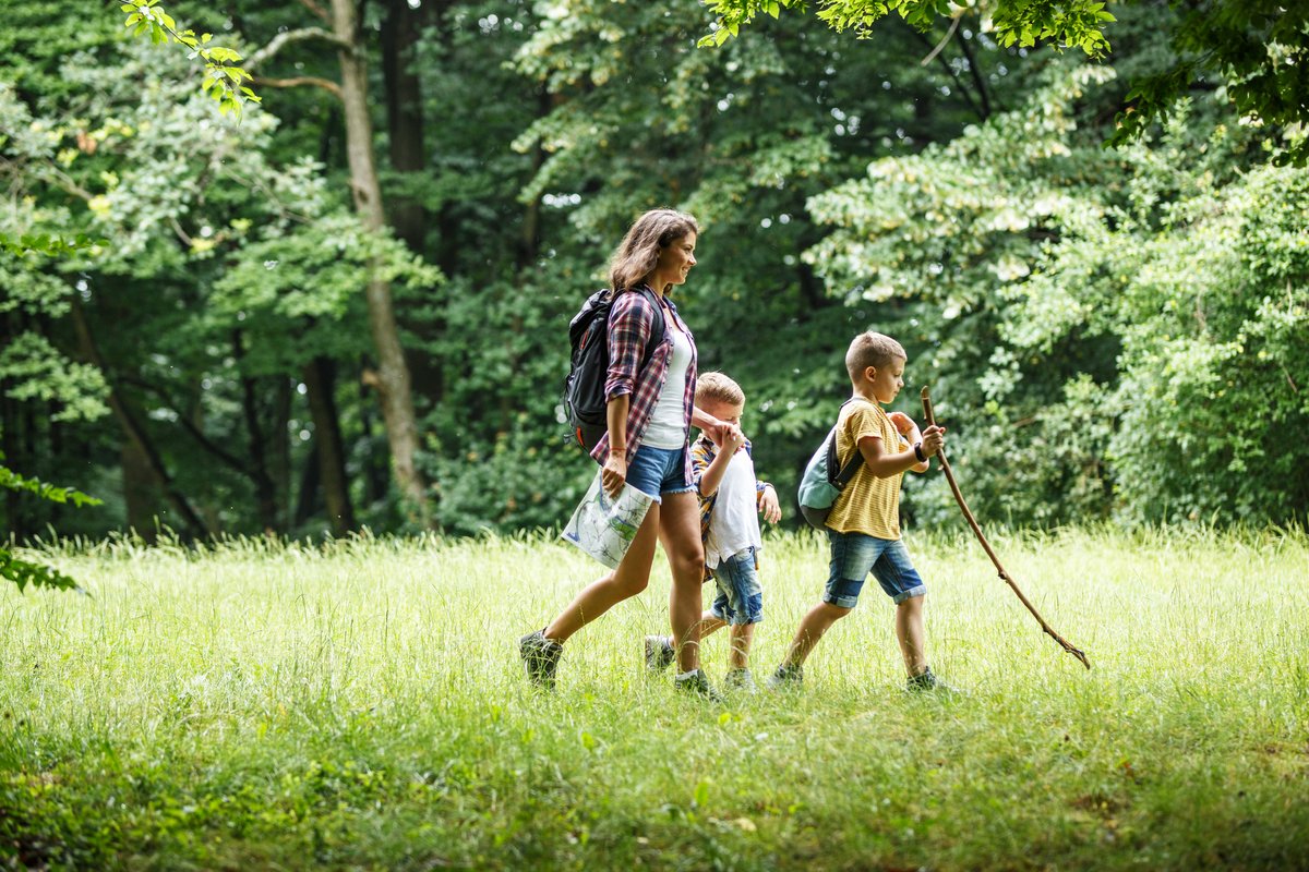 ThisCountsSJMed's tweet photo. It's #NationalWildlifeDay! Let's celebrate by getting outdoors, training our muscles and exploring some of the wonderful wildlife in our state. Visit https://t.co/bKPA15KASC for the full list of state parks. https://t.co/TuQRgKlDCg