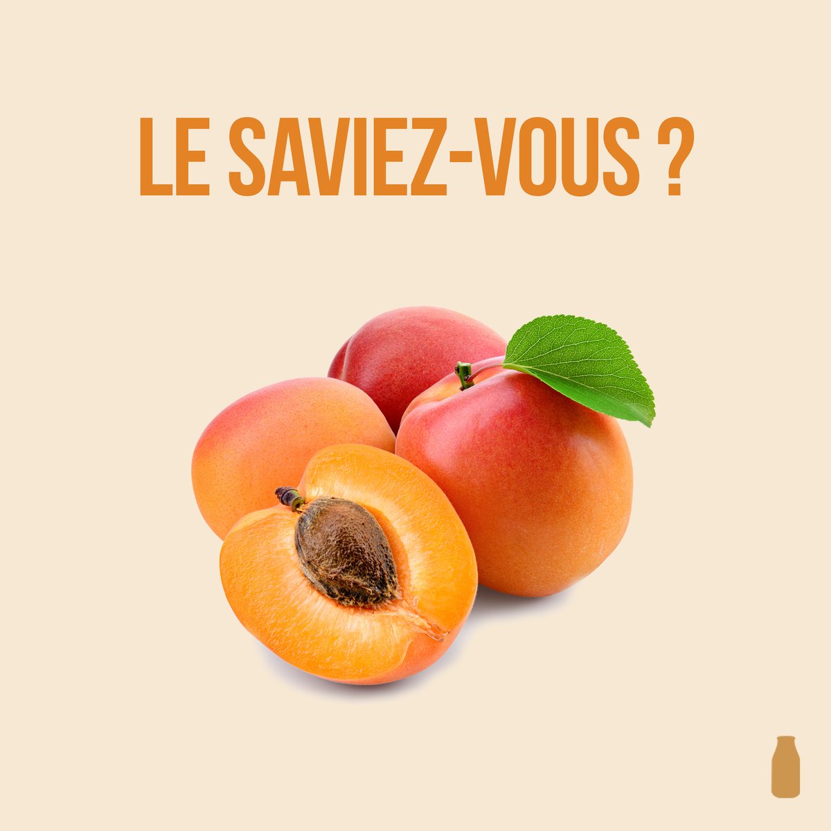 CottageOfficiel's tweet photo. 100% naturels, les grains exfoliants de notre Douche Gommage Tendre Caramel sont composés de noyaux d’abricot et de pulpe de bois. 
Chez Cottage, on n’a pas fini de vous étonner. 😮 https://t.co/egZisr8Tms