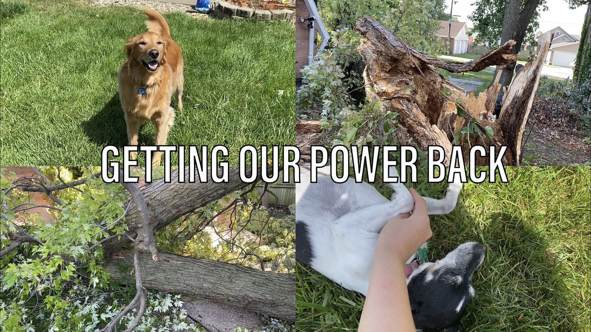 Julie_Schuler's tweet photo. Here is the second part of my last vlog! We got our power back and can now make plans to take care of the tree! Also, I played with some cute dogs for a little bit :) https://t.co/vJlE7xEfb6 https://t.co/Yh4s44Vhtx