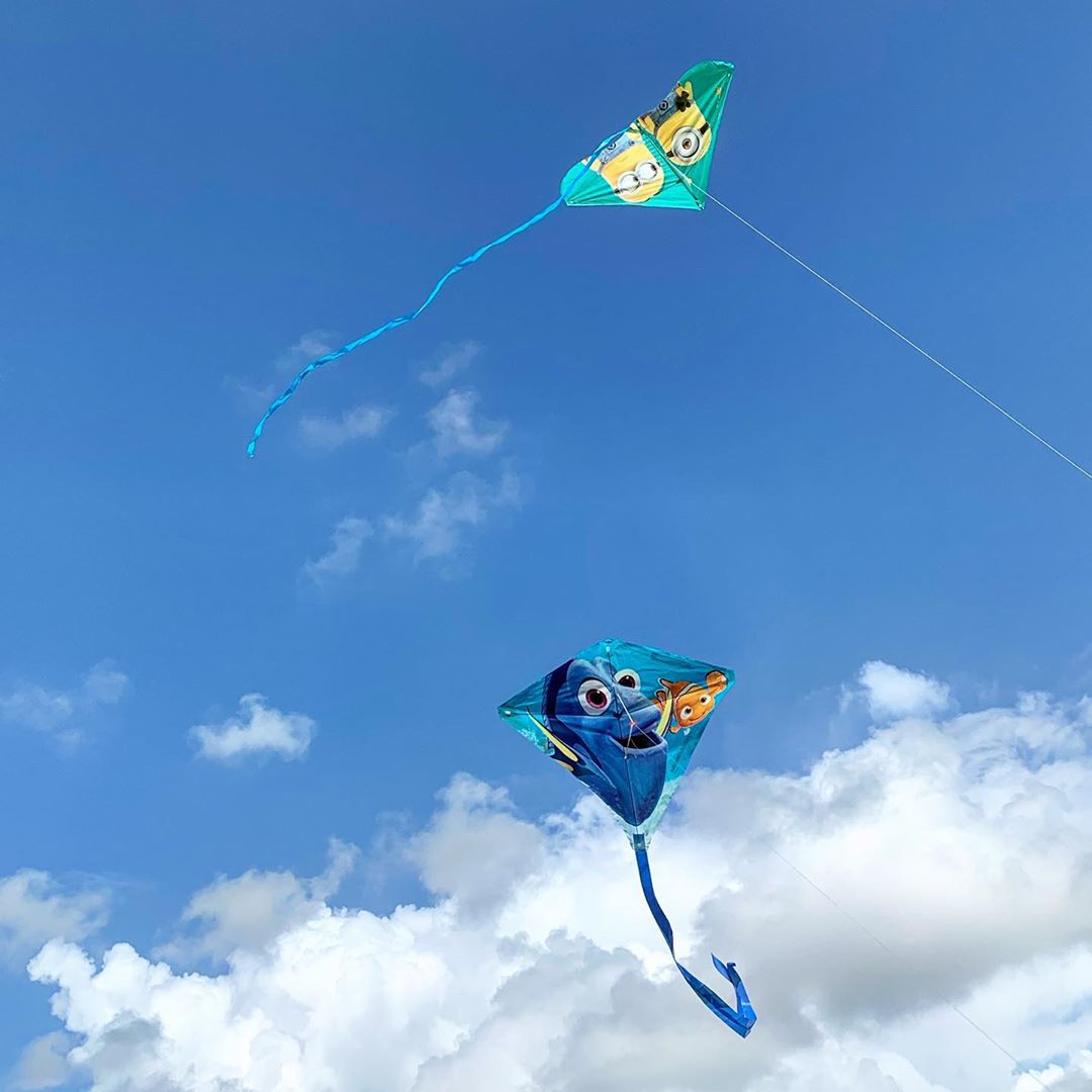 flyxkites's tweet photo. Just keep flying. Just keep flying. 🎶 Sending love to @xo_bricia for sharing this pic, feat. our #Minions and #Dory kites 🐟

#xkites #findingdory #despicableme #dory #kites #flyingkites #toys #toyshop #friday #frudayvibes #parenting #parentingtips #kids #kidsactivities https://t.co/TDLp6v7sGt