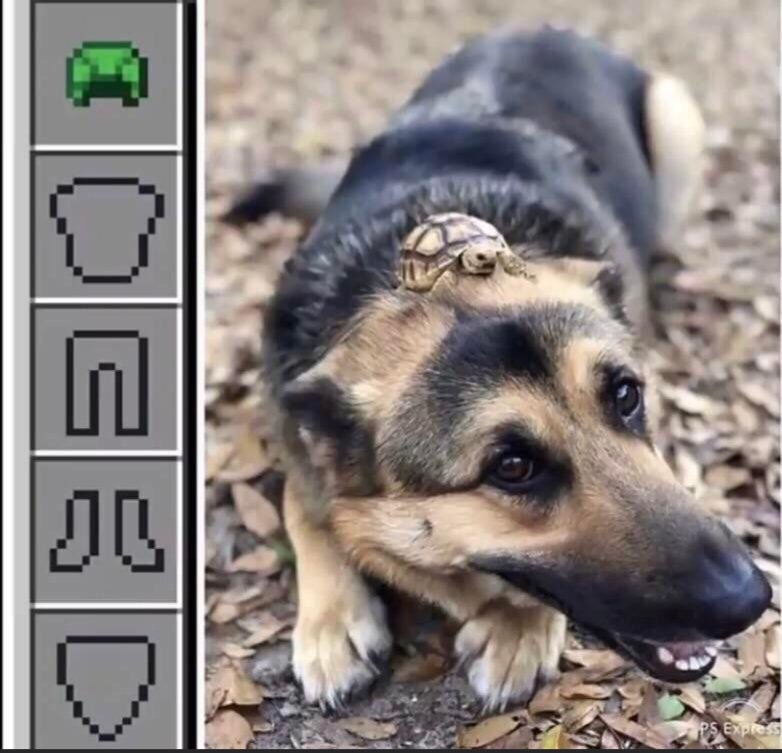 Gavin Buck (@el__chombo) on Twitter photo 