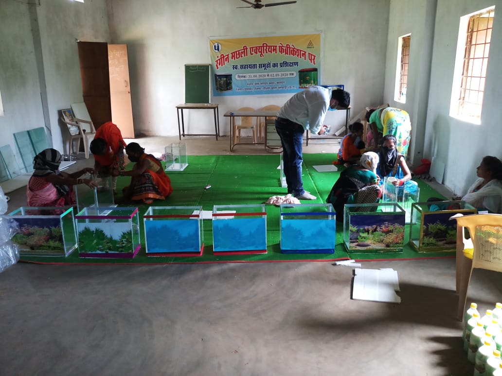 cg36fisheries's tweet photo. धुर नक्सल क्षेत्र @DantewadaDist  में प्रशासन द्वारा स्वरोजगार योजना #bihan अन्तर्गत अंचल के #womenshg को #colourfish के व्यवसाय का प्रशिक्षण, महिलाएं #aquarium  निर्माण सीख रही हैं। शहरी क्षेत्र में अच्छी मांग है @ChhattisgarhCMO @GMgeetha97 @DPRChhattisgarh @CG36Agriculture https://t.co/Wi6shVoWXj