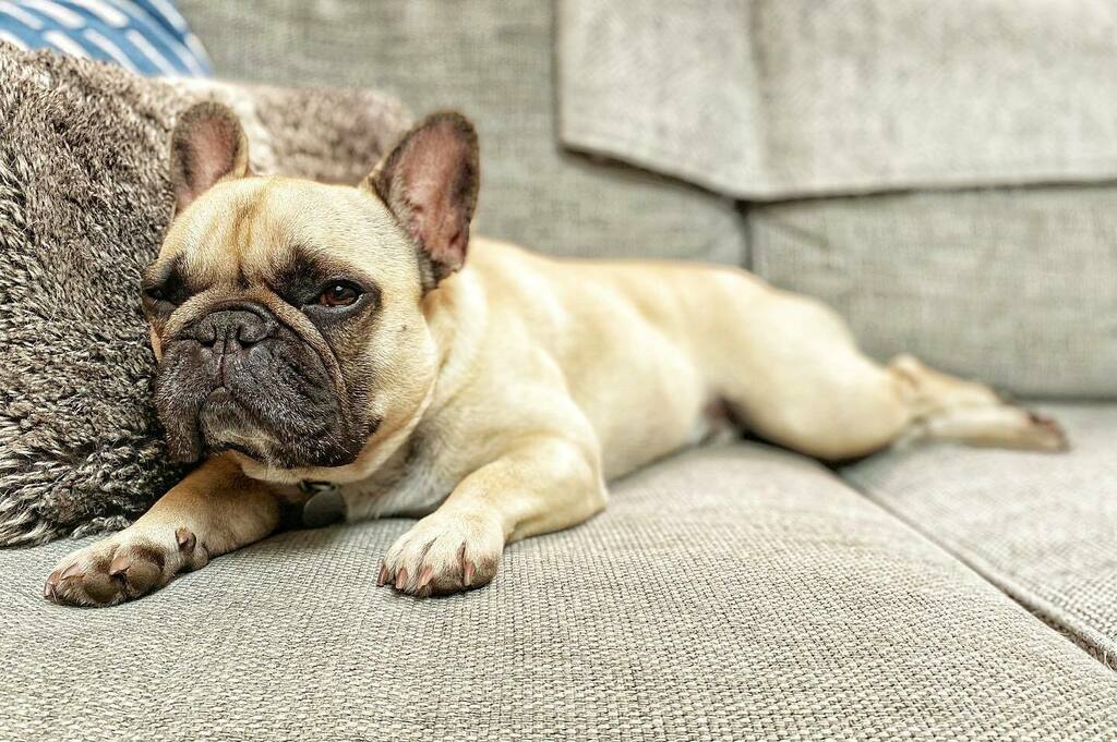 Stephen Rush tweet media