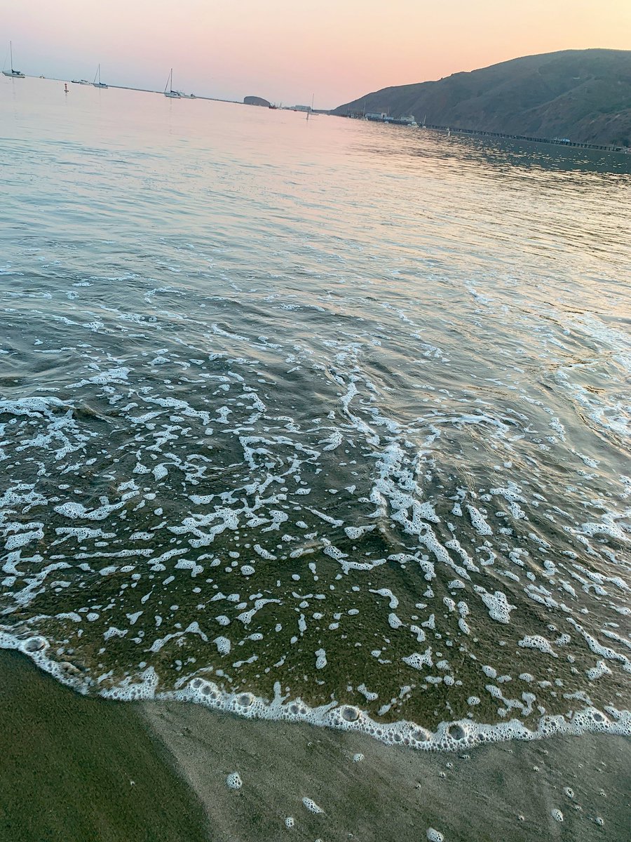 Maddy_willy's tweet photo. somethin about the ocean🤤 https://t.co/Hjgbm1jLc4