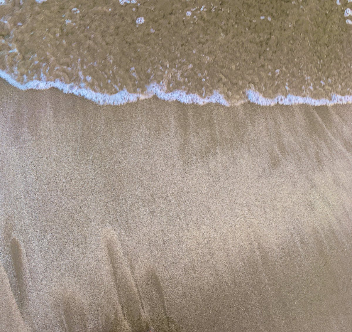 Maddy_willy's tweet photo. somethin about the ocean🤤 https://t.co/Hjgbm1jLc4