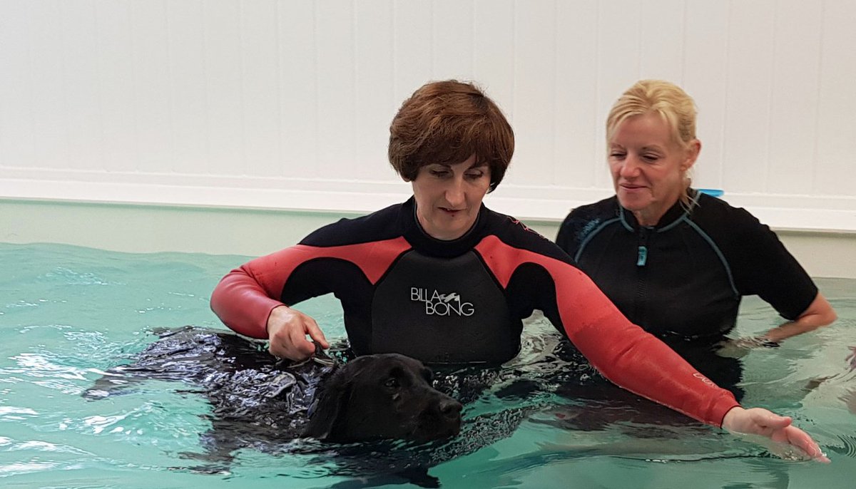thecumbriaguide's tweet photo. Sharon Rogers wanted to set up a hydrotherapy clinic ever since her dog, Elsa, broke her leg. The treatment would have given Elsa better quality of life.
Follow - Tag us @thecumbriaguide to feature
#shopcumbria #thecumbriaguide
https://t.co/tCTEq3ZdYB https://t.co/hLcATtUQL9