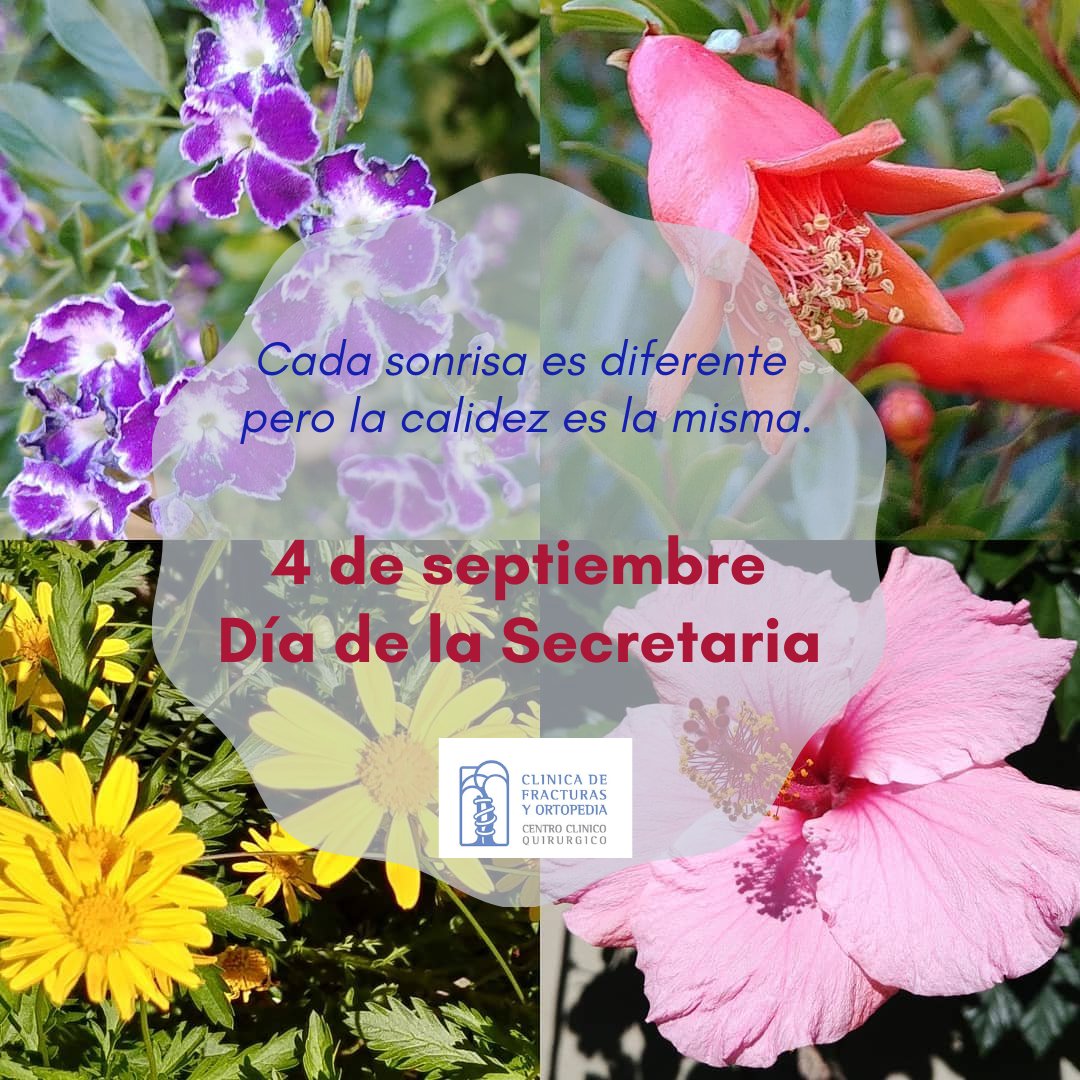 clinfracturas's tweet photo. 4 de Septiembre - Día de la Secretaria

¡Un gran cariño y reconocimiento al equipo de Secretarias de nuestra Clínica! https://t.co/J0aGztIFvZ