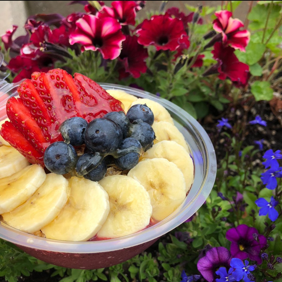 thebowlandberry's tweet photo. The best post-workout snack! 😋🍓 

#OriginalBerryBowl #BowlandBerry #SmoothieBowl #Smoothies #AcaiBowl #Pitayabowl https://t.co/1CPjGYfGd4