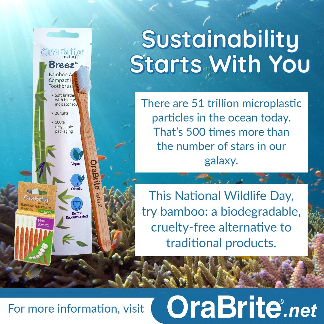 OraBrite_'s tweet photo. This #NationalWildlifeDay, try our #bamboo toothbrushes: a sustainable alternative to traditional plastic options. https://t.co/cD820wUiGW