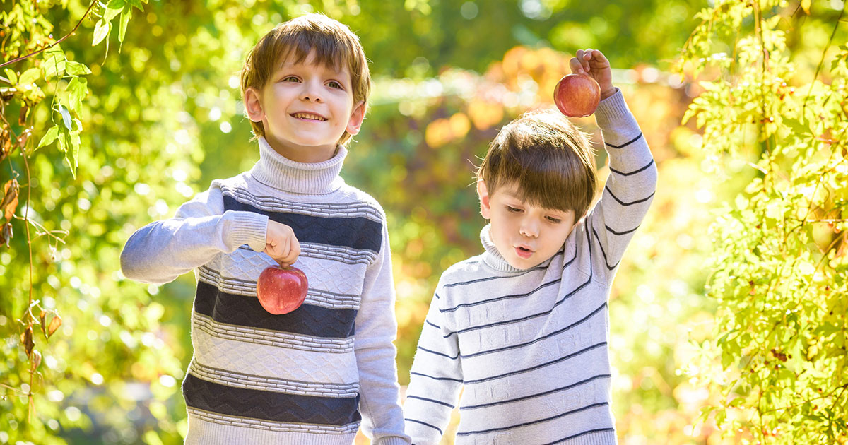 PCPeds's tweet photo. Now that the weather is cooling down, it's time to rally up the kids for some fun #fall activities! From apple picking and pumpkin decorating to craft making and outdoor activities, here's a list of 101 activities that kids will LOVE!https://t.co/icav2livZs https://t.co/Brcj64XQt6