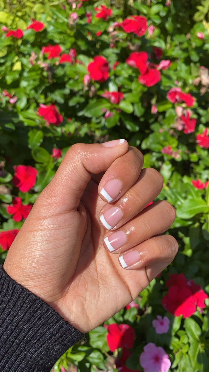 naileoxford's tweet photo. Itβs the French Tips for me.. βΊοΈ
β’
β’
#naileoxford #nailsoftwitter #nailhumor #oxfordms #olemiss #trending https://t.co/vJ109tIMna