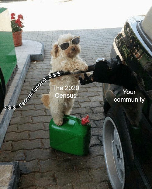 Have you completed your #2020census?
Federal funding for public libraries will be determined by the 2020 U.S. Census results? ALA reported that “more than $1 billion in federal funding for libraries will be allocated to states based on the 2020 Census.”
 2020Census.gov