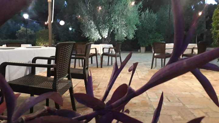 Almoradux's tweet photo. Y tan bonito que ha entrado septiembre, para disfrutar en sus noches calidas de la terraza.

Restaurante Almoradux 
☎️ 959459779
Hinojos 

#verano #septiembre #restauranteAlmoradux #restaurantesHuelva #Hinojos #Doñana #Huelva #Andalucia #turismoAndalucia #terraza #cenas https://t.co/cVLWnkBpSC