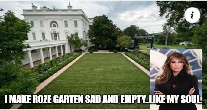 Durrell62's tweet photo. @FLOTUS We might as well have putin himself in office #Resistance #USPS #BidenHarris #Press #Antifa #BLM #Protests #PutinsGOP #ArrestDeJoy #DictatorTrump #FascistMitch #NaziBarr #MSNBC #LincolnLeaks #MeidasTouch https://t.co/sRvjMt38qt