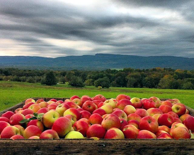 Image from Community Foundations of the Hudson Valley (@CFHVny)