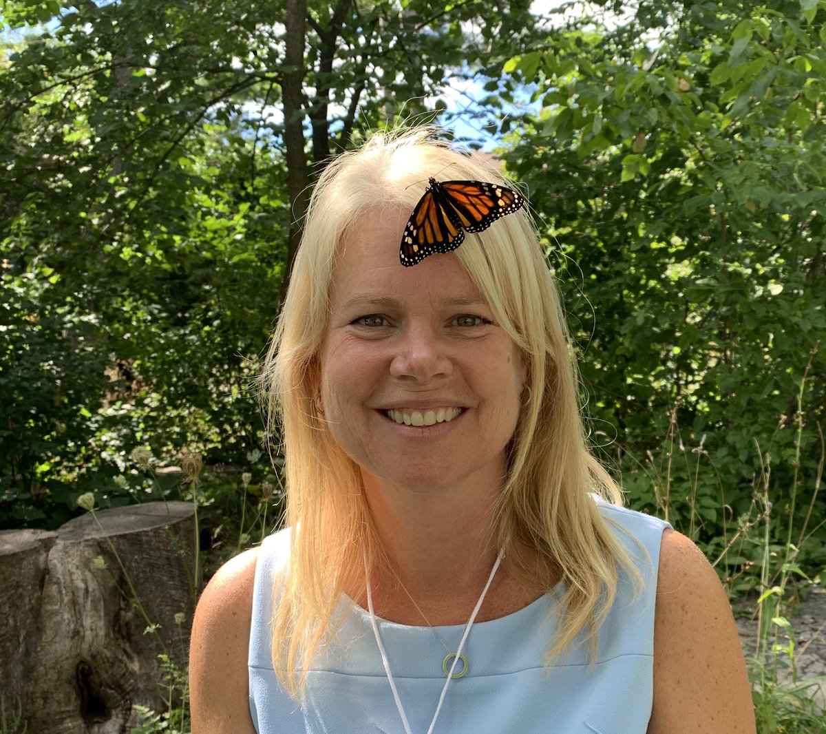 Handleyklw's tweet photo. What a wonderful first two days of school @Centennial_LDSB complete with butterflies emerging both days in Ms. Byers’ class. #newbeginnings #centennialcomets https://t.co/X2axHJxJXr