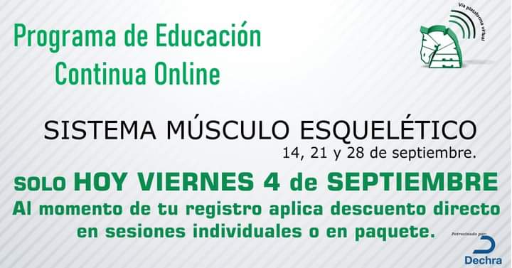 ammvee's tweet photo. Sistema musculo esquelético https://t.co/6njaFNqTGD