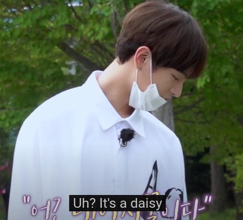 S3OH0's tweet photo. @1theK THIS SCENE @ 3:22 PLEASE THE SOFT BACKGROUND MUSIC CRACKS ME UP HES SO CUTE
#๋งค์ด๋ง์๋ณด์ฌ์ฃผ๋ง
#ShowMeTheMWM https://t.co/xSBZldQxT4