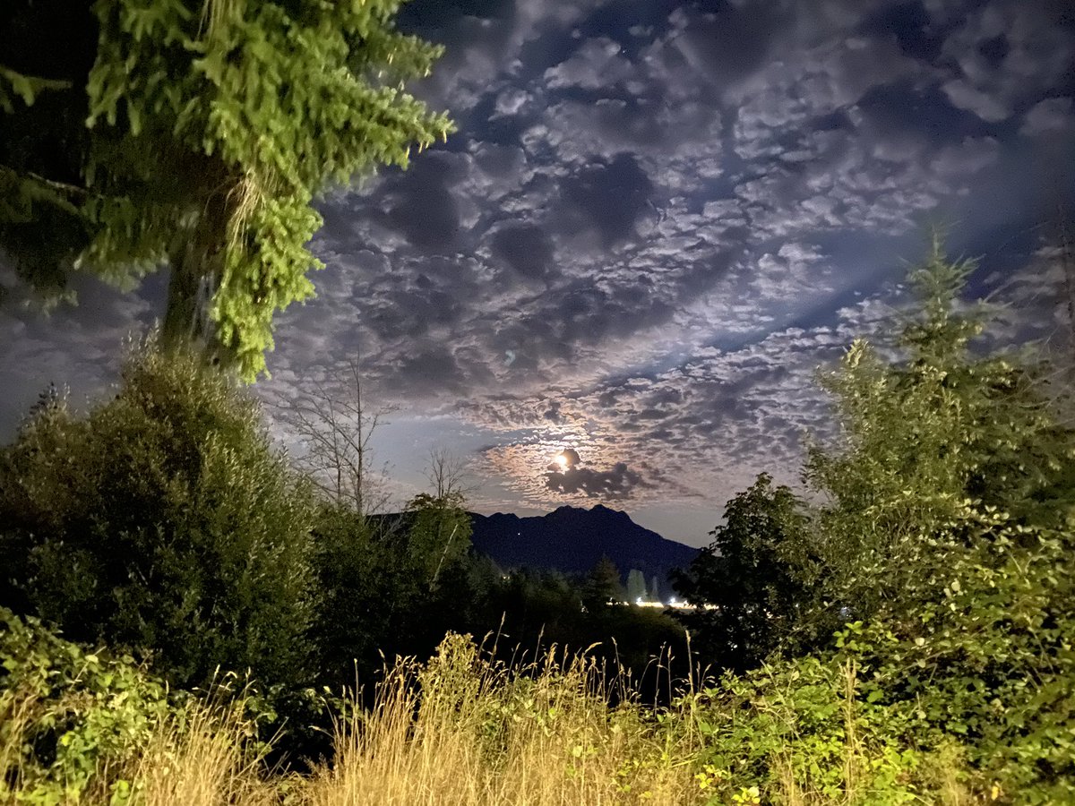 rvanpoederooyen's tweet photo. The moon coming up over Mount Arrowsmith in Port Alberni, BC, Canada last night. What an awesome view it was! Love it here so much 🤘❤️🤘
#portalberni #mountarrowsmith #moon #moonrising #radpic #nofilter https://t.co/vPyMoodWQa