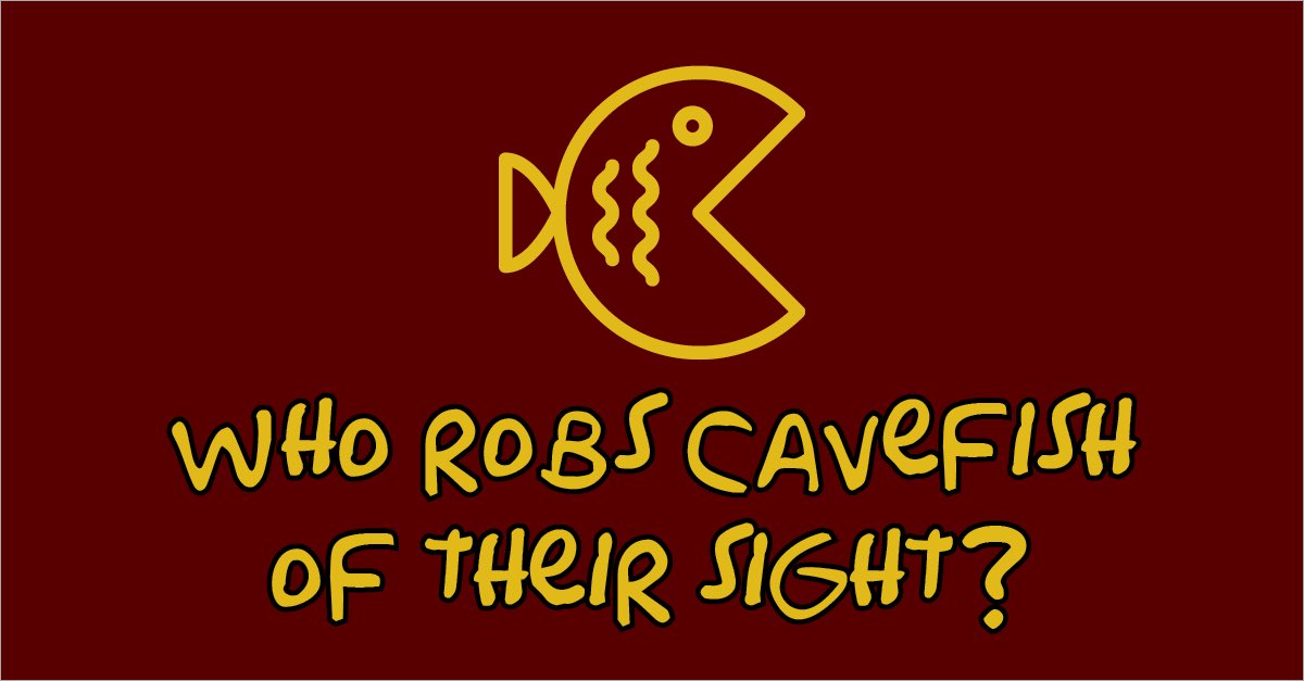 DCStonecutters's tweet photo. Who robs cavefish of their sight? https://t.co/eNbAHCzBAU #Stonecutters #DragonCon #DragonCon2020 #DragonConGoesVirtual https://t.co/ve5aiF4FMD