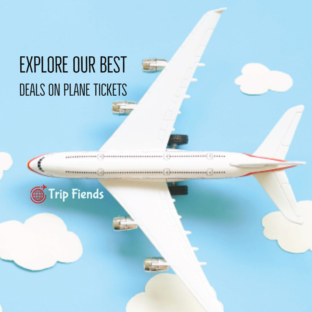 tripfiends's tweet photo. 😱 𝐁𝐄𝐒𝐓 𝐃𝐄𝐀𝐋𝐒 𝐀𝐑𝐄 𝐖𝐀𝐈𝐓𝐈𝐍𝐆 𝐅𝐎𝐑 𝐘𝐎𝐔 😱
✈ Explore our best deals on flight tickets &amp; SAVE UPTO 80% OFF

✈✈Book it now &amp; FLY HIGH - https://t.co/M663XqAcN2

#onlineflightbooking #flights #bestflights #flightsonline #planyourtrip #planyourjourney #Emirates https://t.co/6TVJ1eIkAf