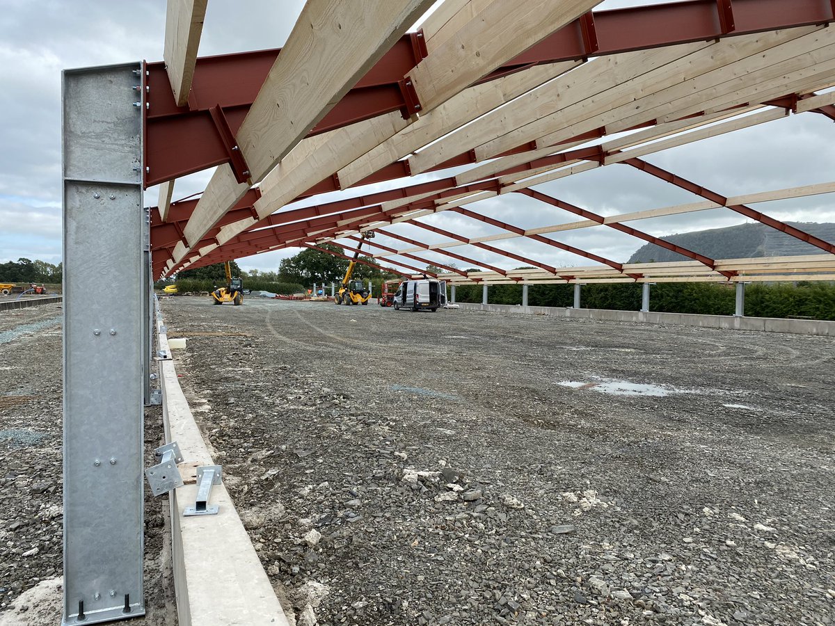 Anthony Litchfield tweet media