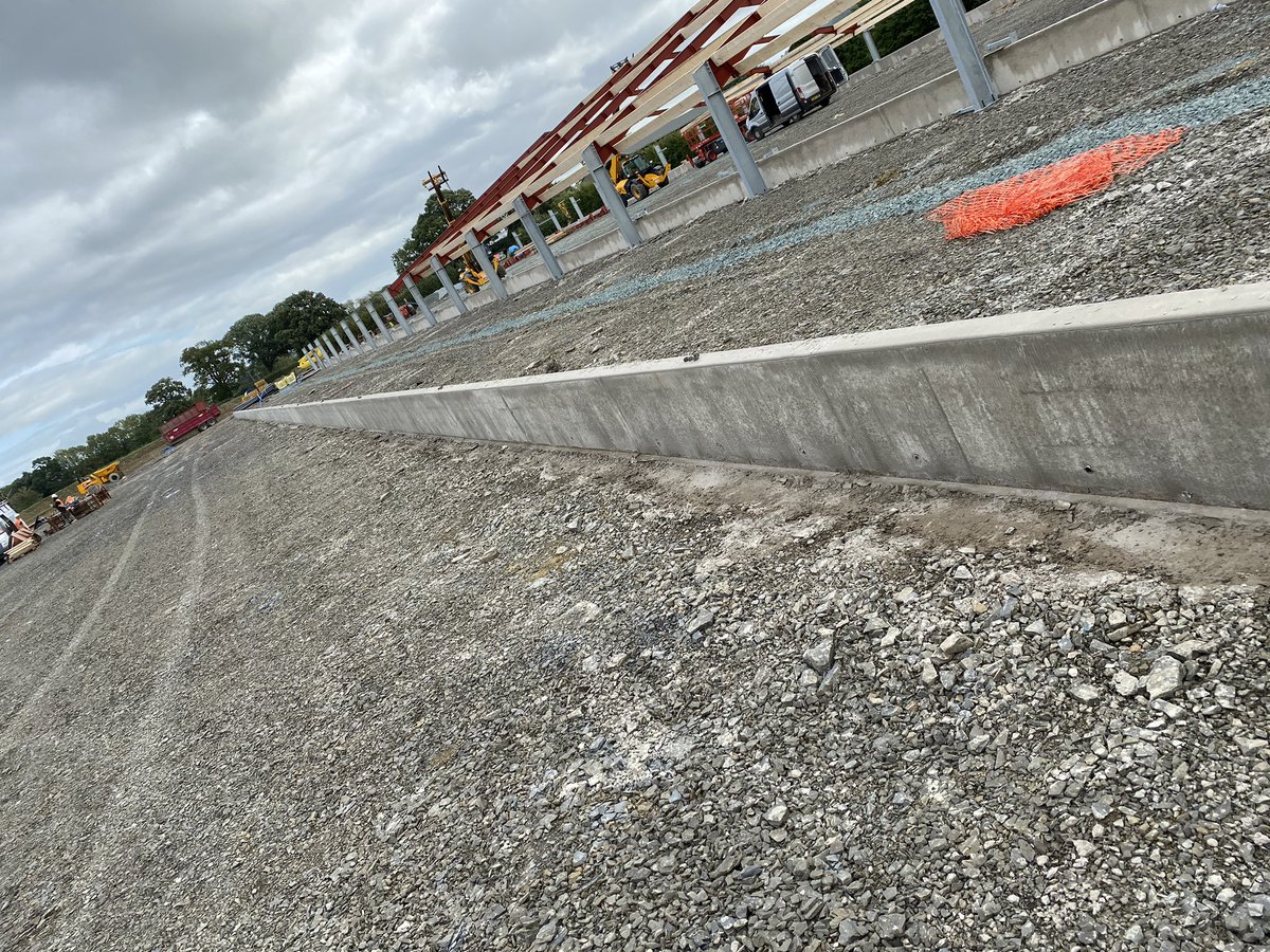 Anthony Litchfield tweet media