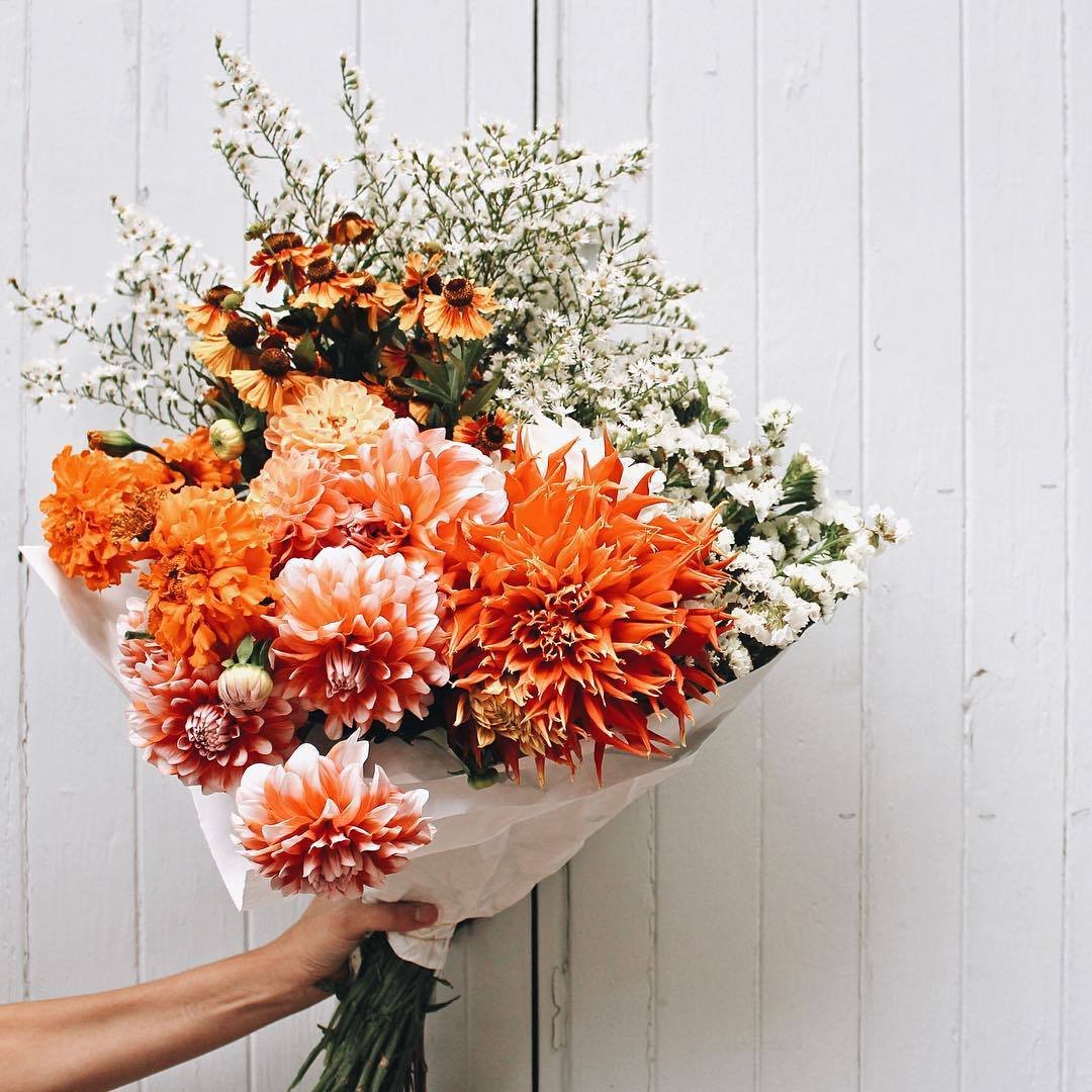 thewarmbloss0m's tweet photo. 💌¡Alguien ha pensado en ti! Tenemos una entrega para  @eIipsismo de alguien que adora consentirte.

Gracias por su preferencia,
wb💐 https://t.co/Ie2fmILtMm