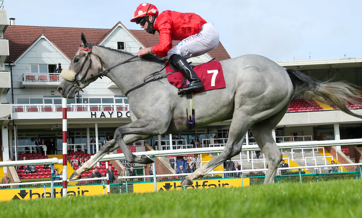 It was another memorable @Betfair sponsored day at @haydockraces this afternoon. We cannot wait to do it all again tomorrow with the Group 1 @Betfair Sprint Cup the highlight at 15:25 📸 @jess_stafford_