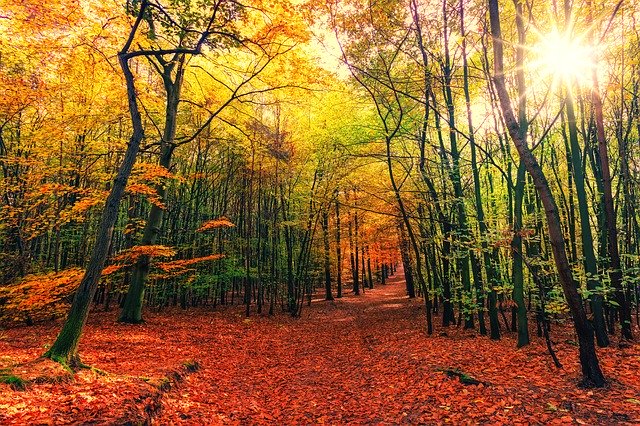 Dragonflyraks's tweet photo. In case you missed our September news! Click through! https://t.co/H4Tb1WqcZw https://t.co/51zkvvsCJO