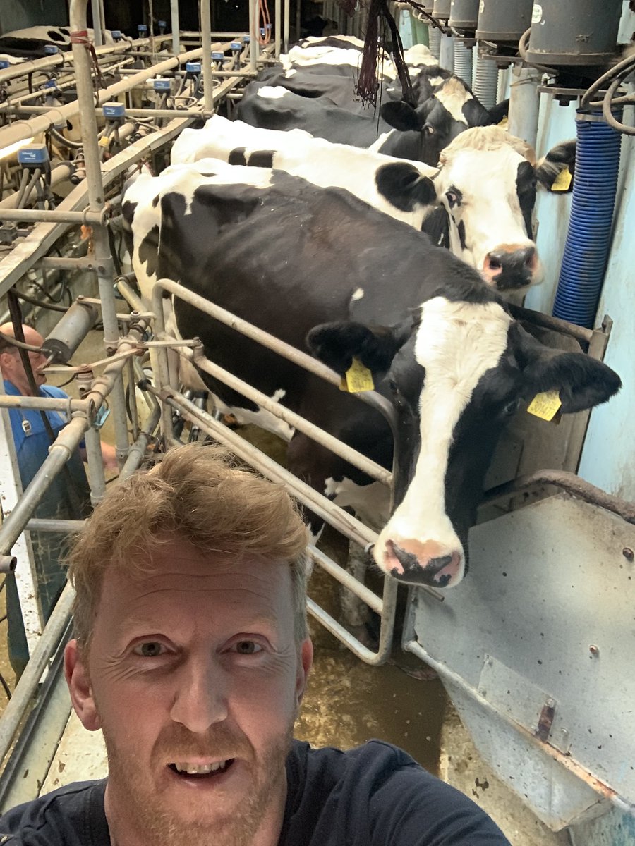 farmradioframpo's tweet image. Watching @SomersetCCC @ItsTradeNation in the milking parlour tonight whilst milking the cows #StreaminStyle