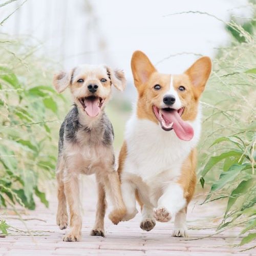 US_Wealth's tweet photo. As you leap into the Labor Day Weekend and soak up the last #DogDaysofSummer, it's a good time to plan your future. #MakingCents

https://t.co/xuu5vhXIgV https://t.co/I3wybOLpwK