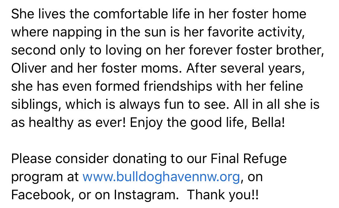 BulldogHavenNW's tweet photo. #Bella is the star of this week's #FinalRefuge #Friday showcase!

Please #considerdonating to our Final Refuge program at https://t.co/gIVYMUULhQ, on #Facebook, or on #InstagramStory #Thankyou!!

#bulldoghavennw
#adoptdontshop #thisiswhywerescue https://t.co/u7pHyKLRJi