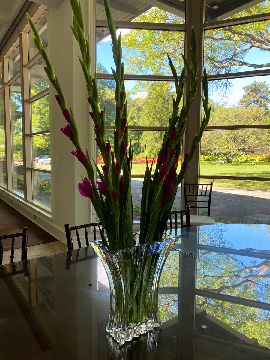 Governor Gretchen Whitmer tweet media