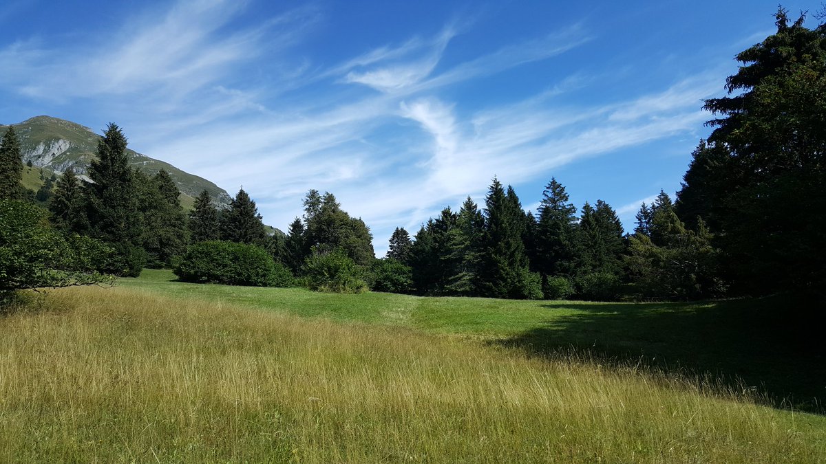 Orillo Narduzzo tweet media