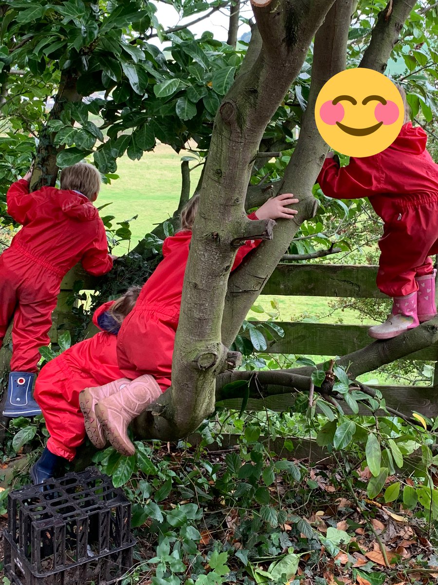 YetholmPS tweet media