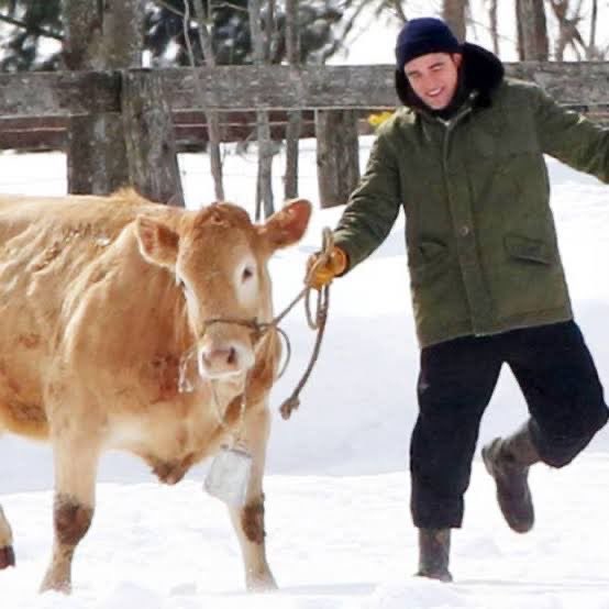 R0BSFILMS's tweet image. no thoughts just robert pattinson with cows