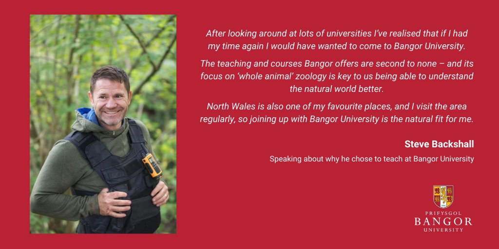 BangorUni's tweet image. TV presenter and explorer, Steve Backshall to join teaching team at @BangorUni 
@BangorSNS @sos_bangor_uni
@SteveBackshall
Full story: bit.ly/3jOLacO