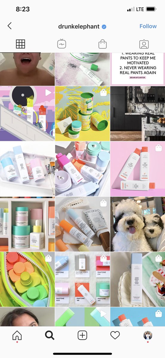 left - mooncosmetics feed. right - drunk elephants feed. What do you see Moon cosmetics  - before and after photos of customers skin, reviews, + results. Drunk elephant  - packaging design, pretty photos, dogs, a graphic about pants, and a kitchen counter